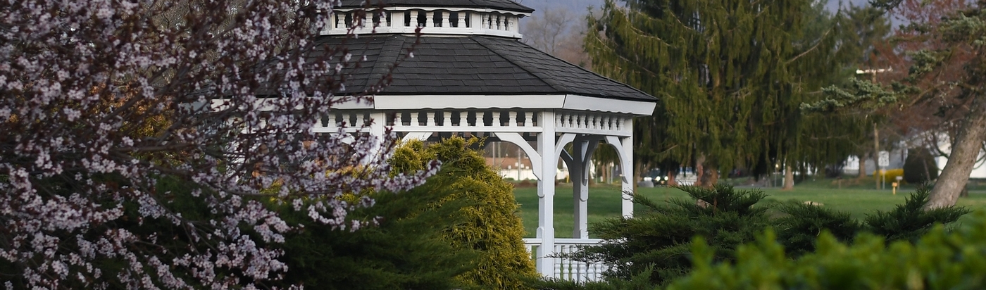 Admissions