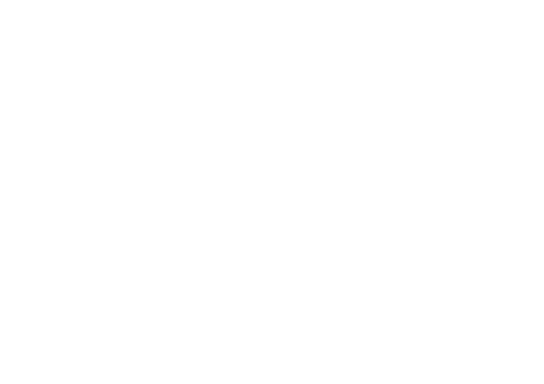 Shenandoah Valley Academy